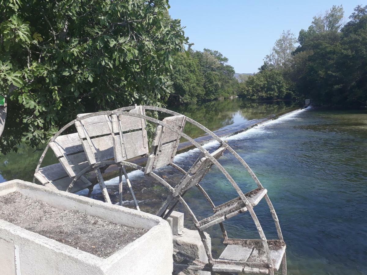 Mas et Gite de la Picholine LʼIsle-sur-la-Sorgue Exterior foto