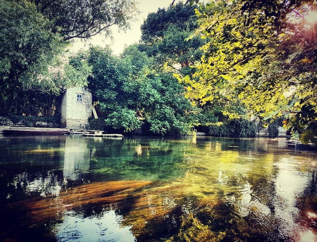 Mas et Gite de la Picholine LʼIsle-sur-la-Sorgue Exterior foto