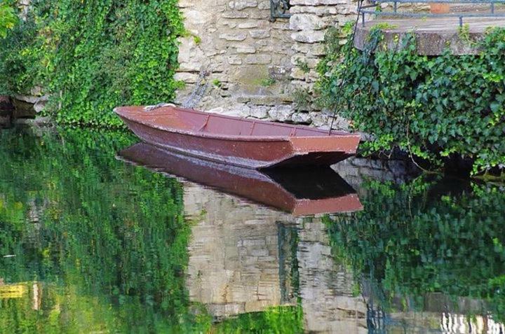 Mas et Gite de la Picholine LʼIsle-sur-la-Sorgue Exterior foto